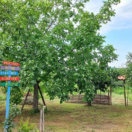 Veli Guest House • Საოჯახო Სასტუმრო Ველი Zemo Alvani エクステリア 写真