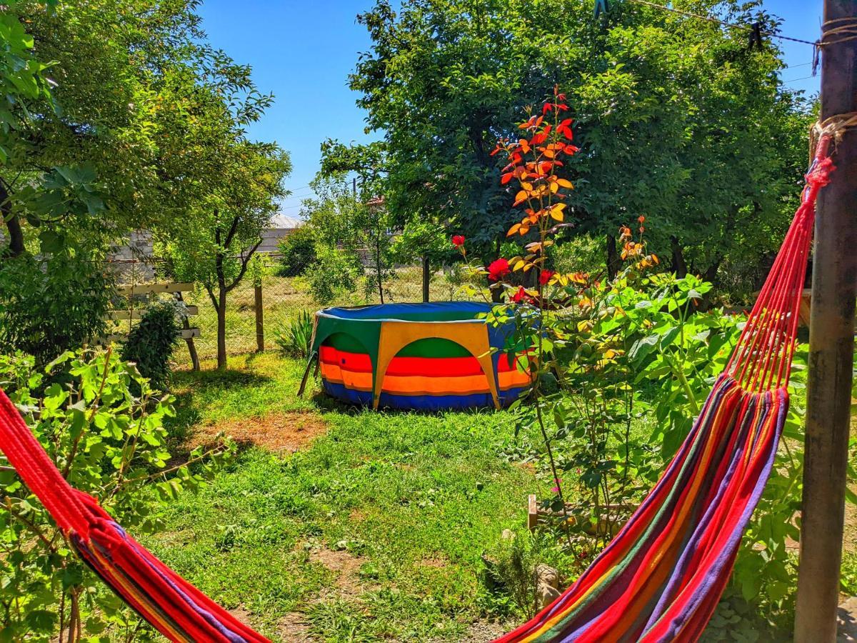 Veli Guest House • Საოჯახო Სასტუმრო Ველი Zemo Alvani エクステリア 写真
