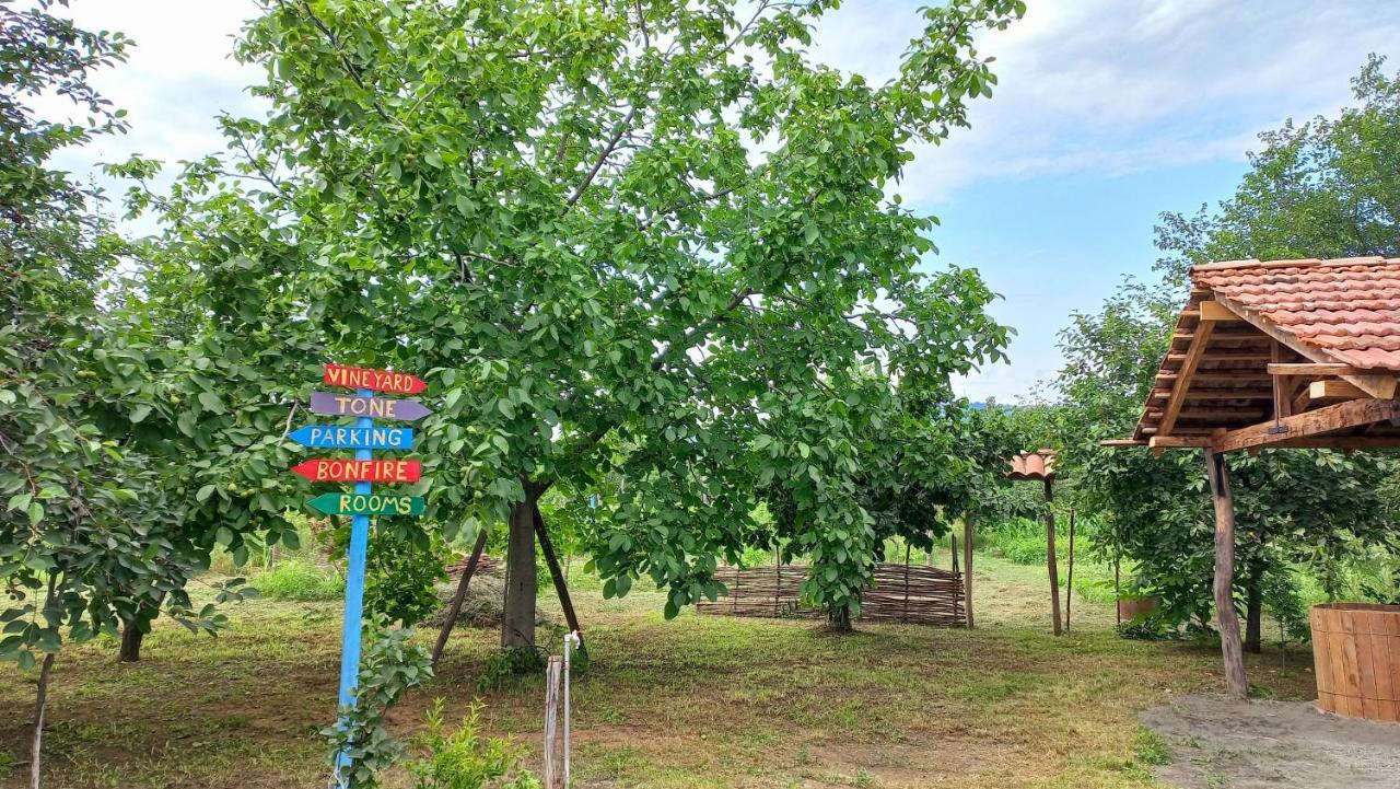 Veli Guest House • Საოჯახო Სასტუმრო Ველი Zemo Alvani エクステリア 写真