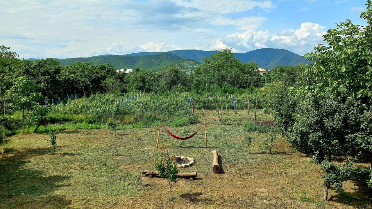 Veli Guest House • Საოჯახო Სასტუმრო Ველი Zemo Alvani エクステリア 写真